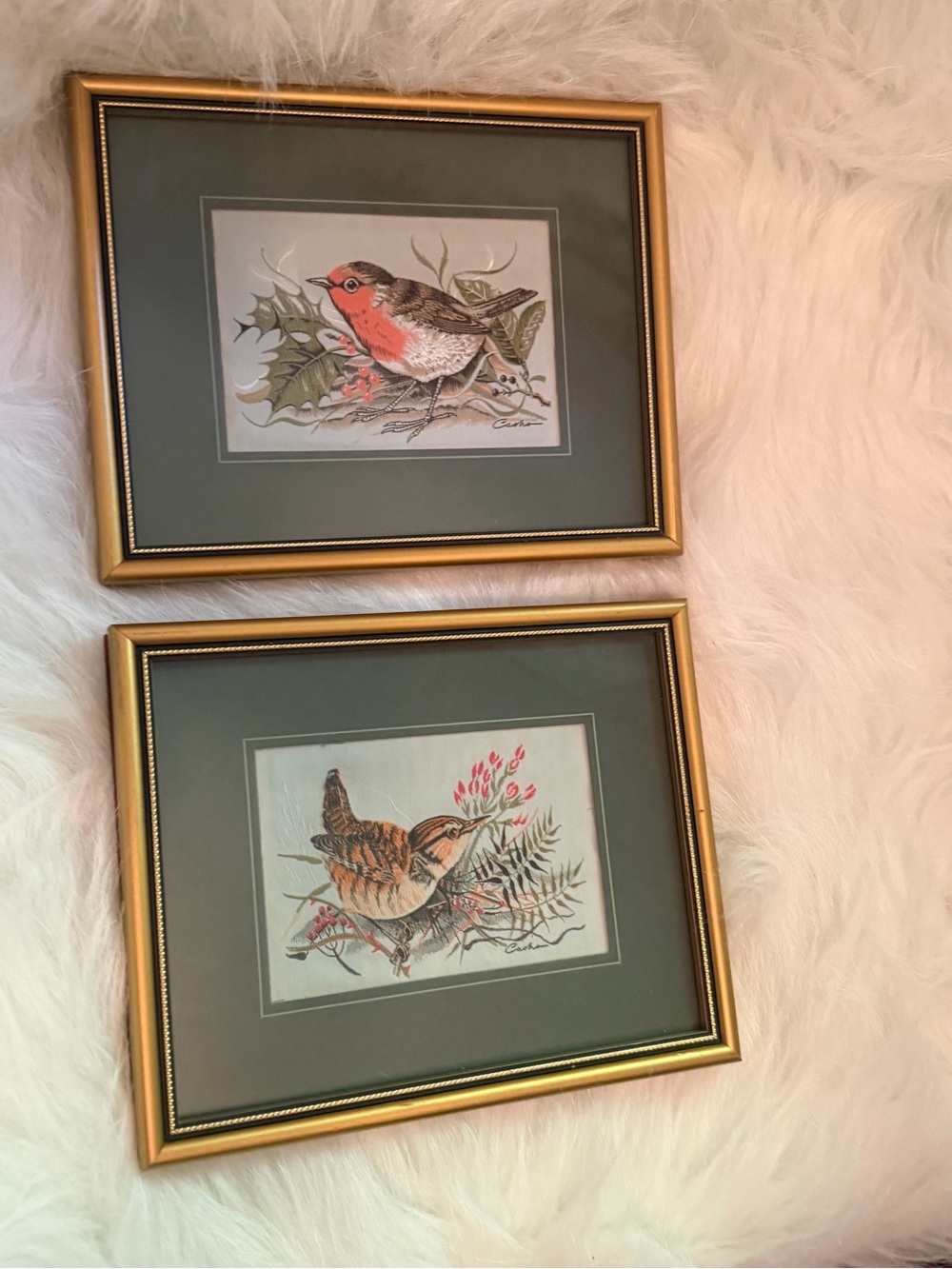 J and J Framed Bird Art Prints in Green and Gold - Set of 2